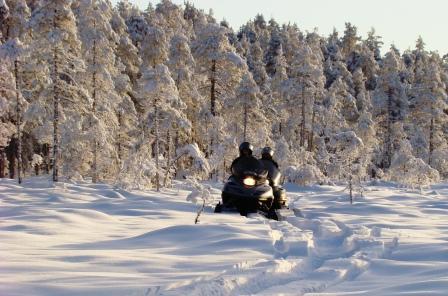 Actieve wintervakantie in Zweden