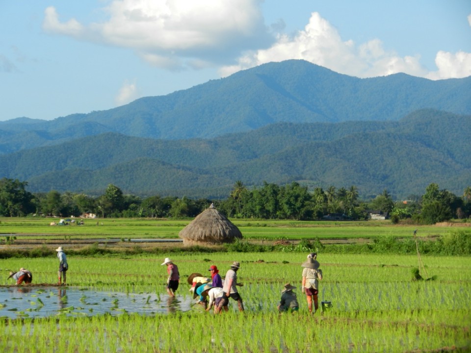 Fietsvakantie Thailand