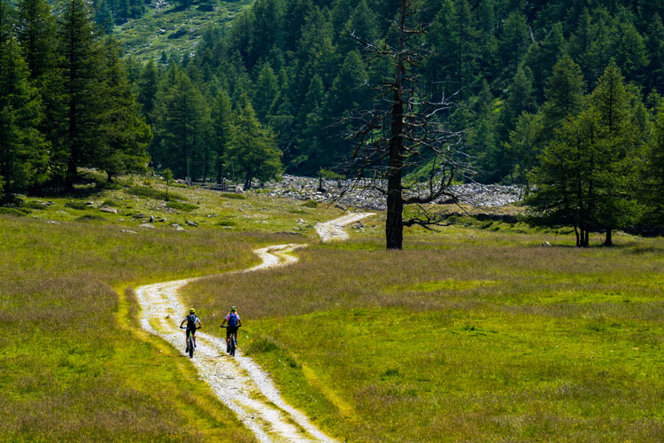Mountainbiken door de prachtige natuur van Europa