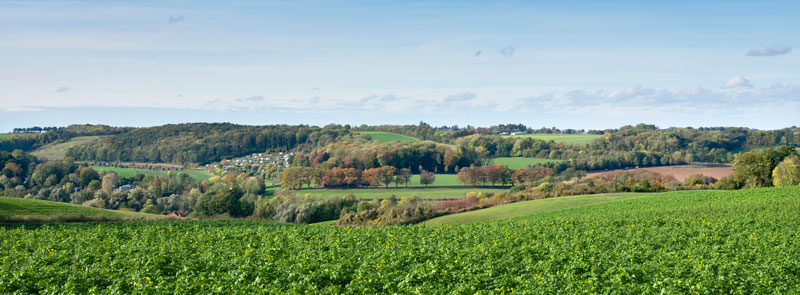 zuid limburg natuur 