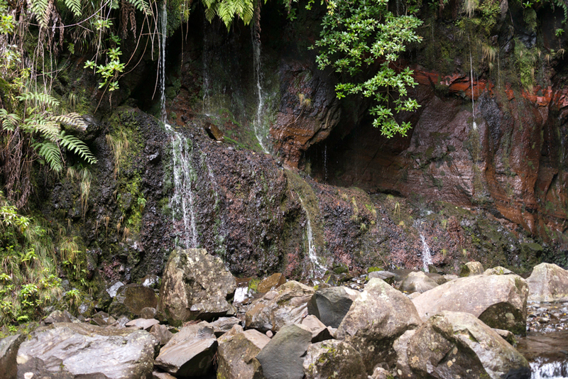 Levada do Risco