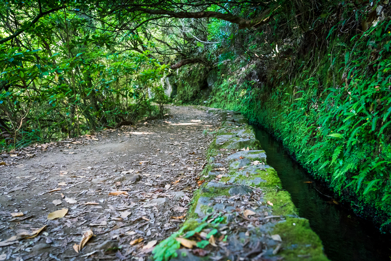 PR6 25 Fontes hike & Levada do Risco op Madeira